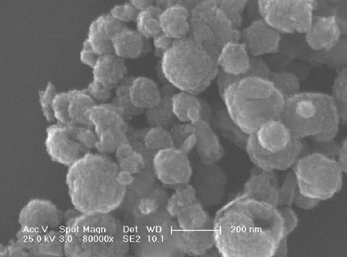 Preparation method and application of amino-modified Fe3O4 microspheres