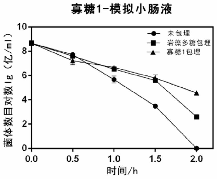 Application and method of fucoidan and its hydrolyzed oligosaccharides in the preparation of probiotic protective agent