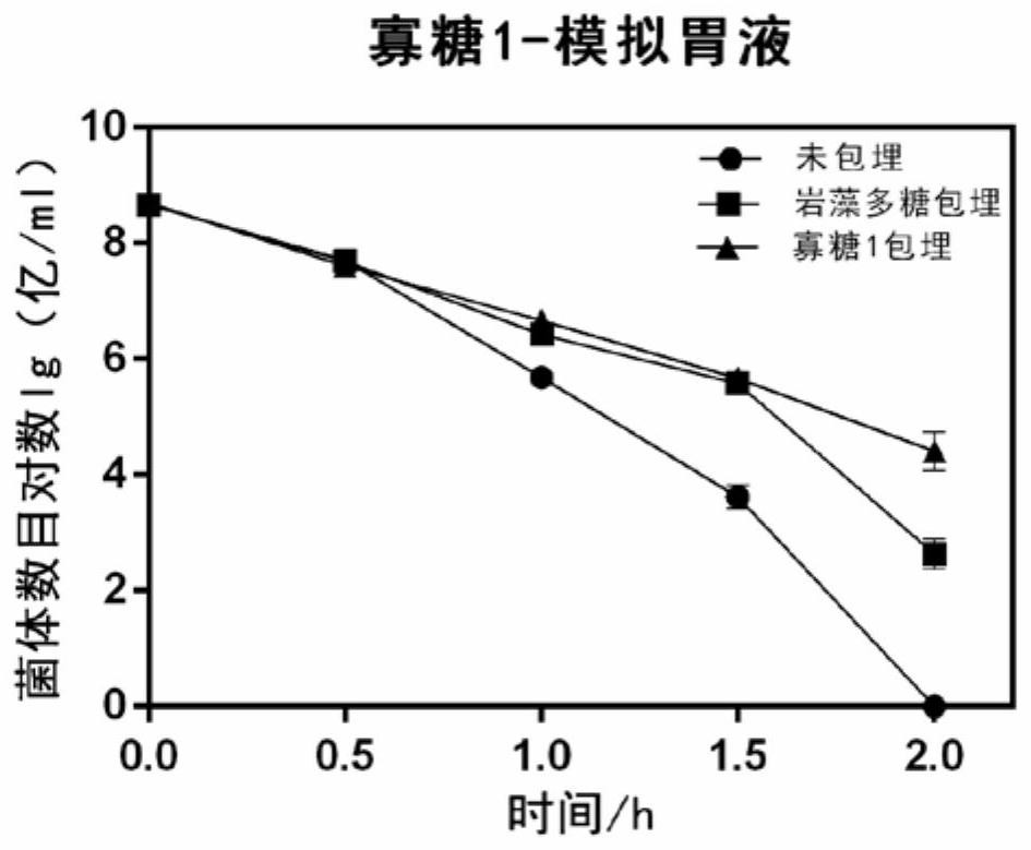 Application and method of fucoidan and its hydrolyzed oligosaccharides in the preparation of probiotic protective agent