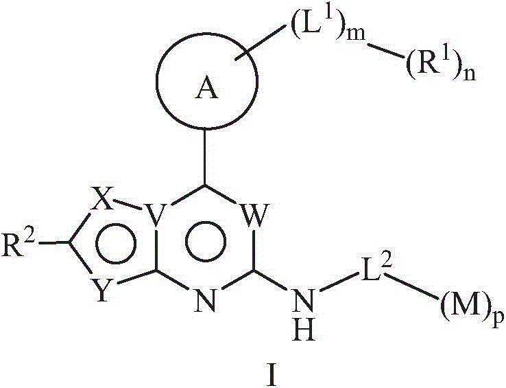 5-member and 6-member rings heterocyclic compound, its preparation method, pharmaceutical composition and its application