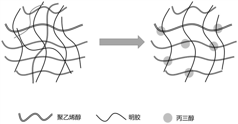 Double-network hydrogel shell polycystic core structure trichoderma harzianum agent