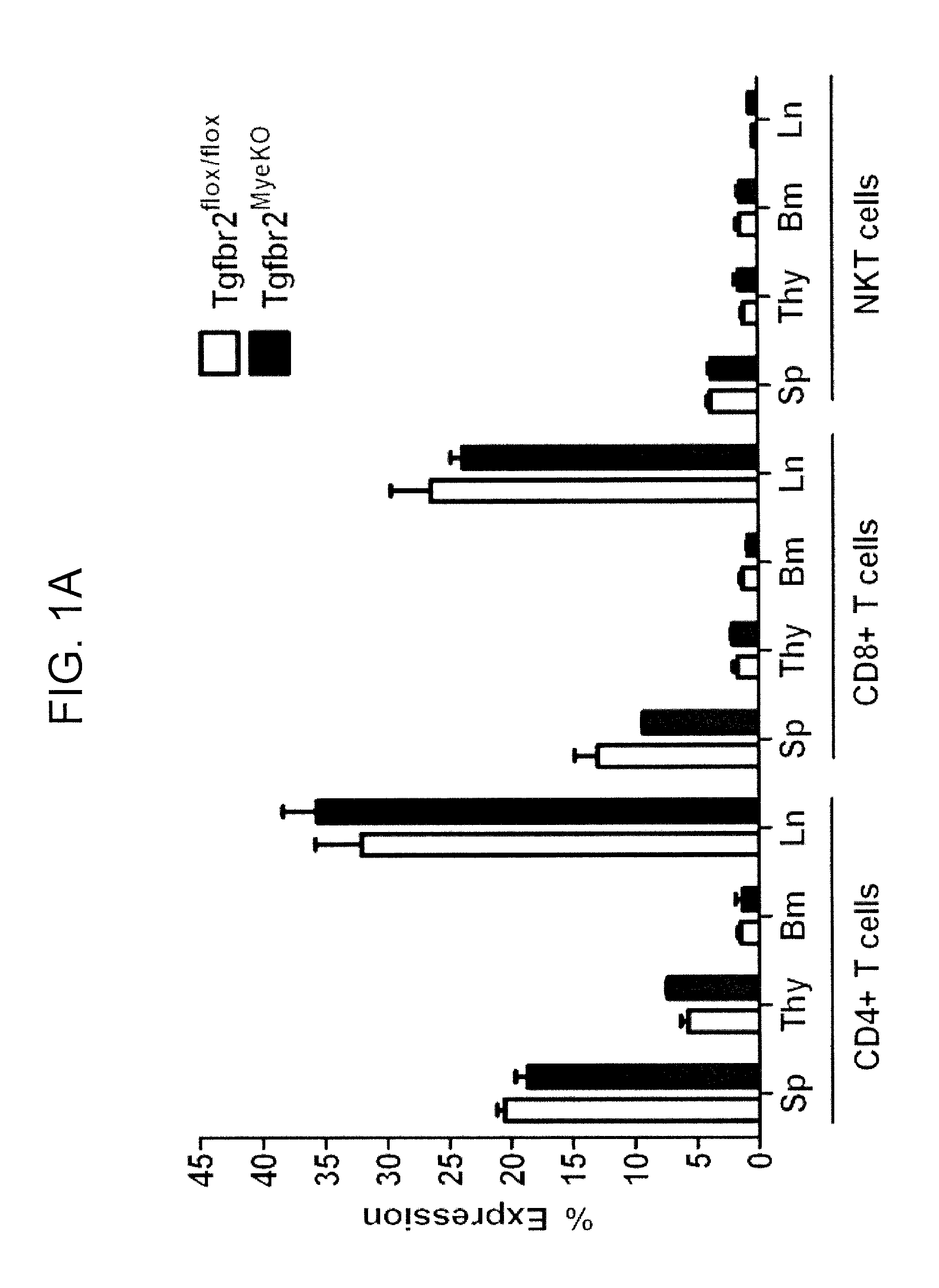 Reduction of TGF beta signaling in myeloid cells in the treatment of cancer
