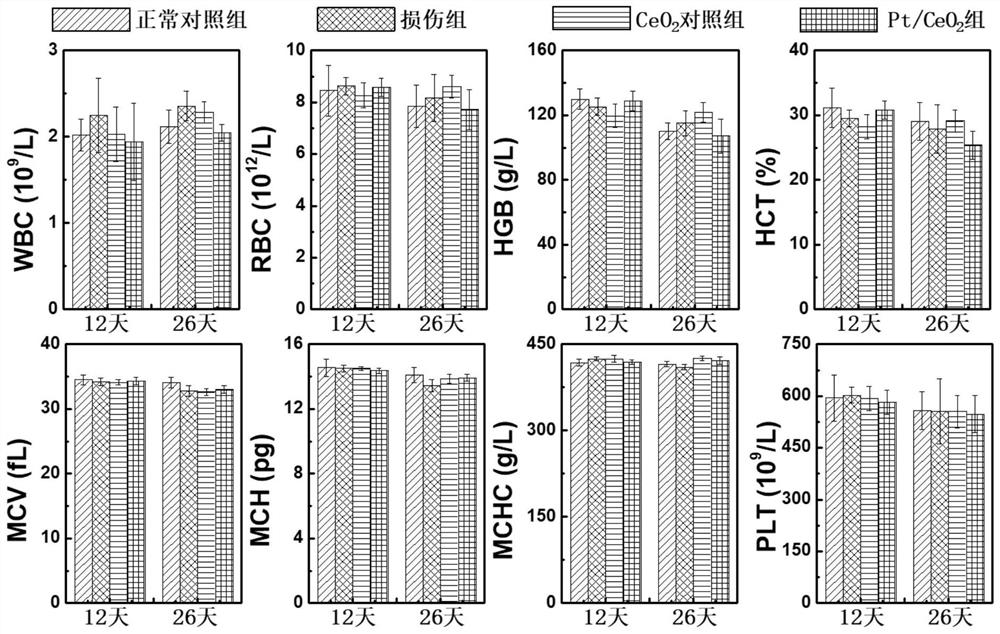 A single-atom nano-enzyme patch for skin wounds and its preparation method