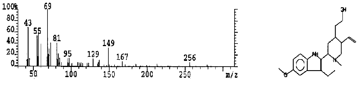 Cyclocarya paliurus extract and application thereof