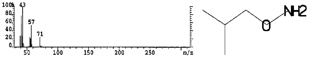 Cyclocarya paliurus extract and application thereof