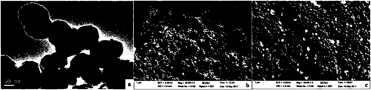 Salicylic acid-doped silica nano-particle fluorescence sensor for iron ions, and production method and application thereof