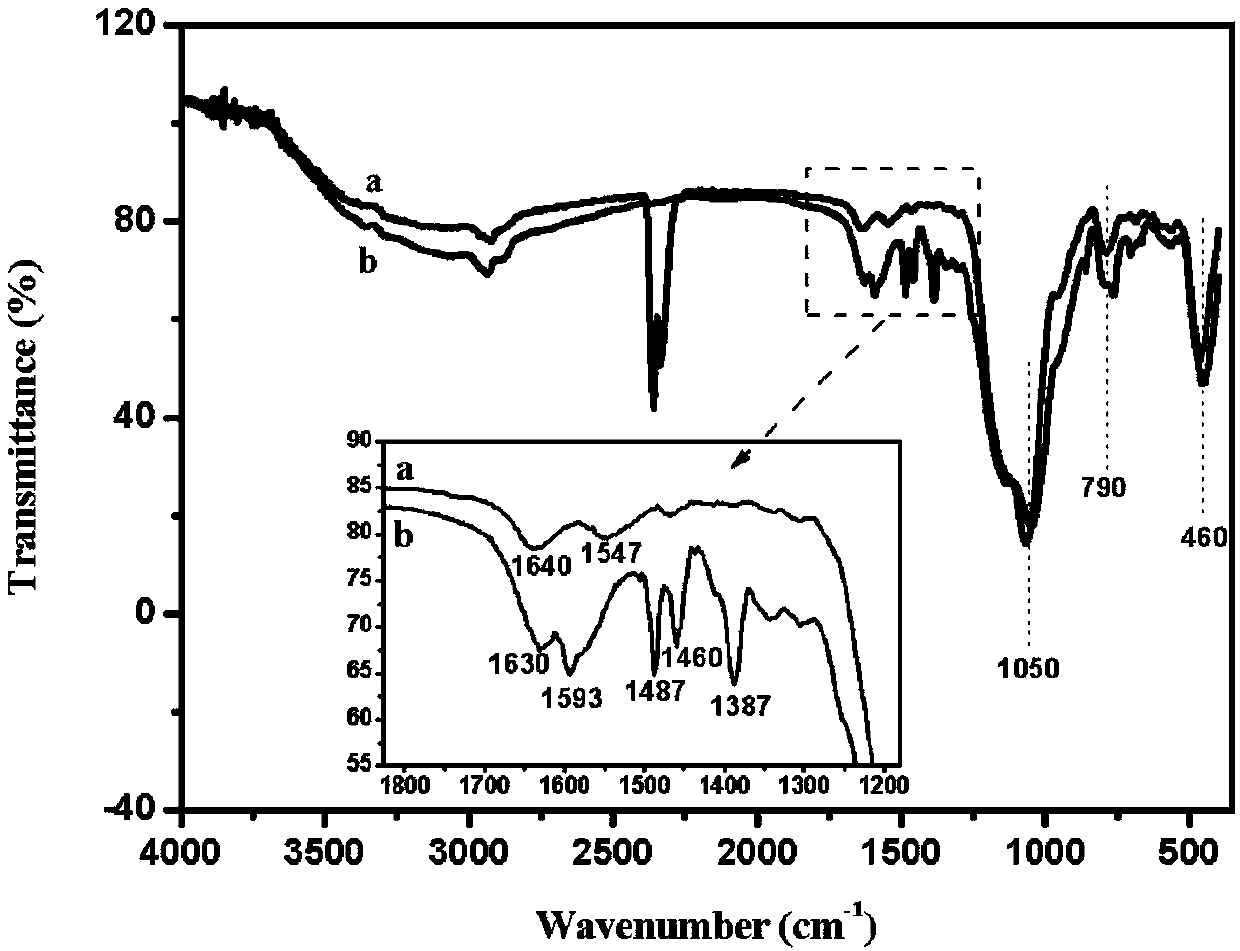 Salicylic acid-doped silica nano-particle fluorescence sensor for iron ions, and production method and application thereof