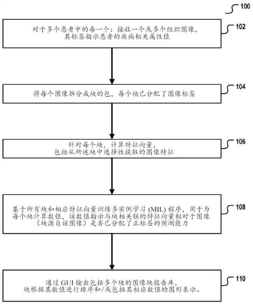 Multiple instance learner for prognostic tissue pattern identification