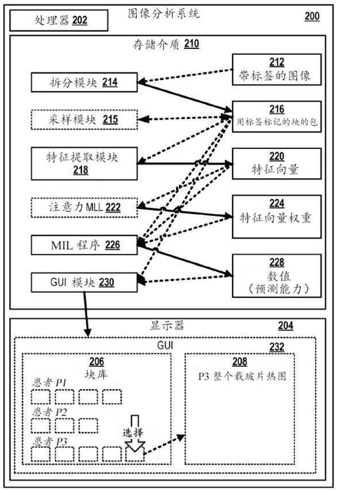 Multiple instance learner for prognostic tissue pattern identification