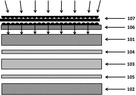 A kind of liquid crystal photomask and its application