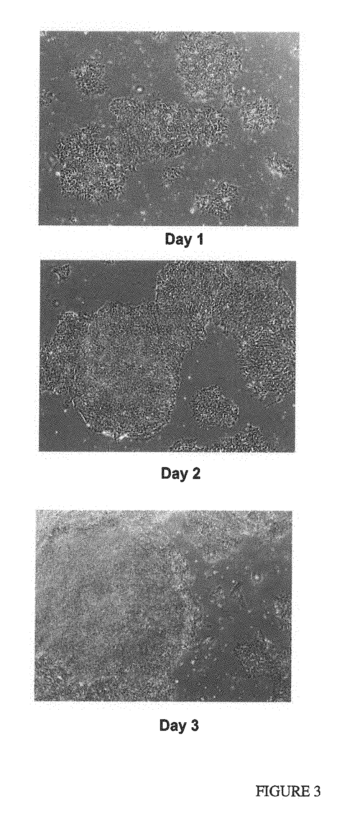 Passaging and harvesting formulation and method for human pluripotent stem cells