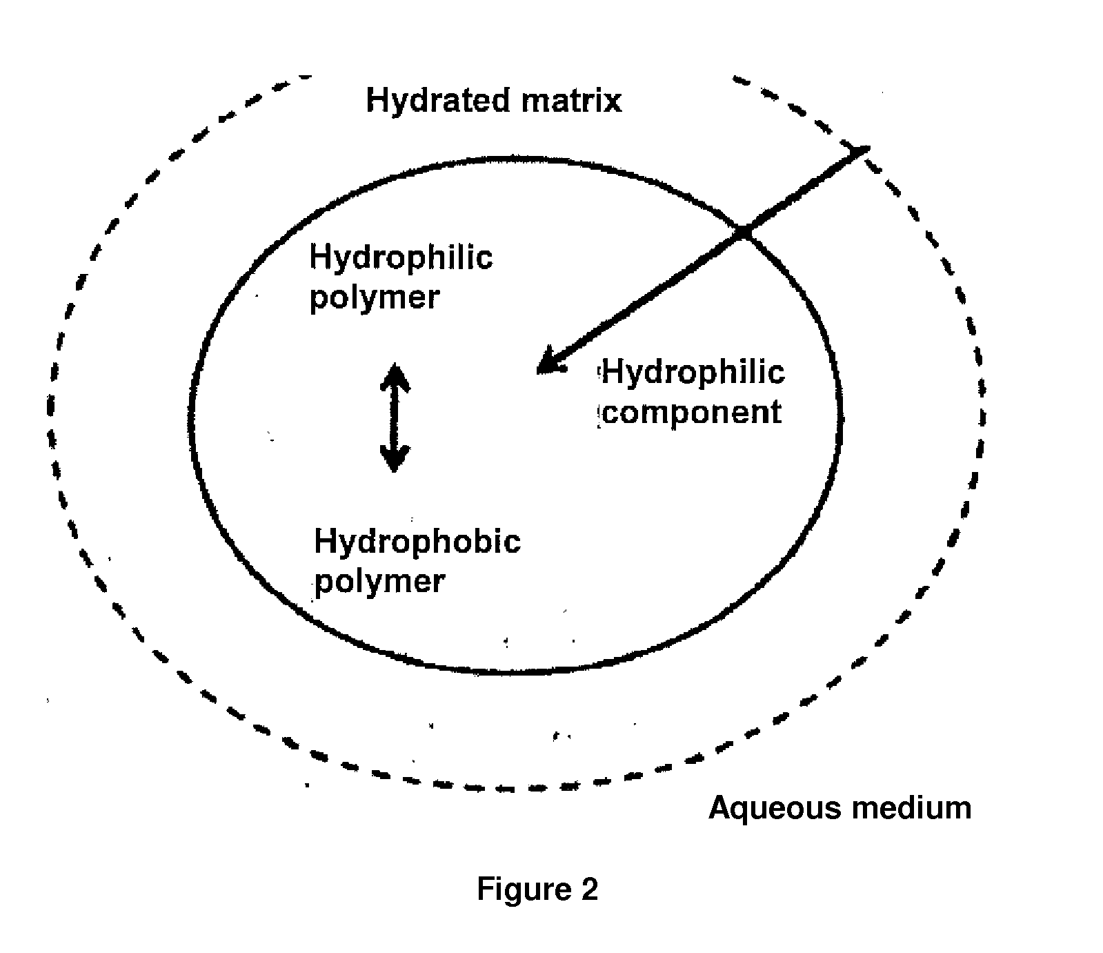 24-hour sustained-release metoclopramide