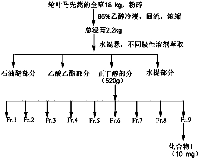Application of penylpropanoids Leucosceptoside A to preparation of anticomplement medicines