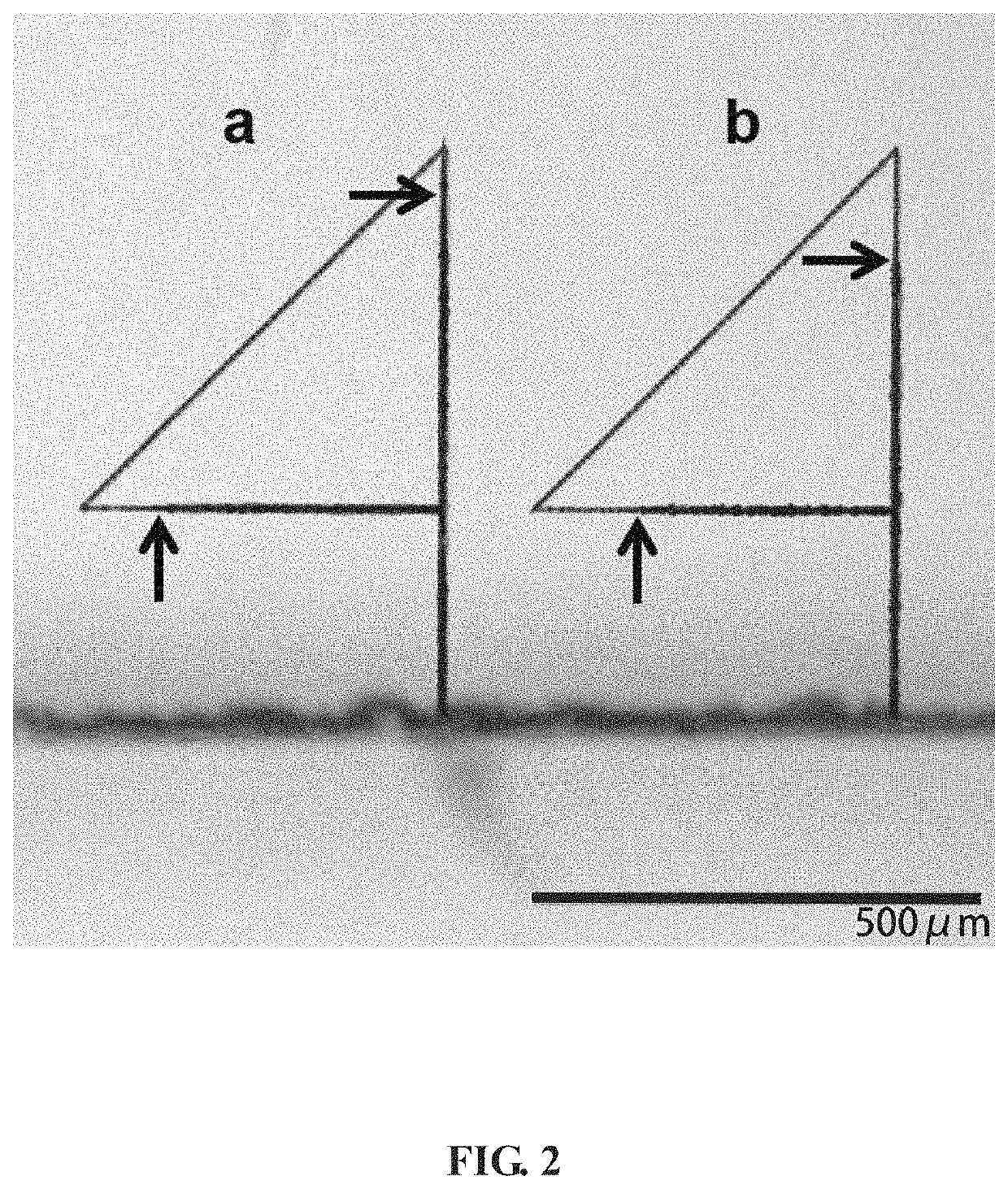 Method for fabricating microfluidic devices in fused silica by picosecond laser irradiation