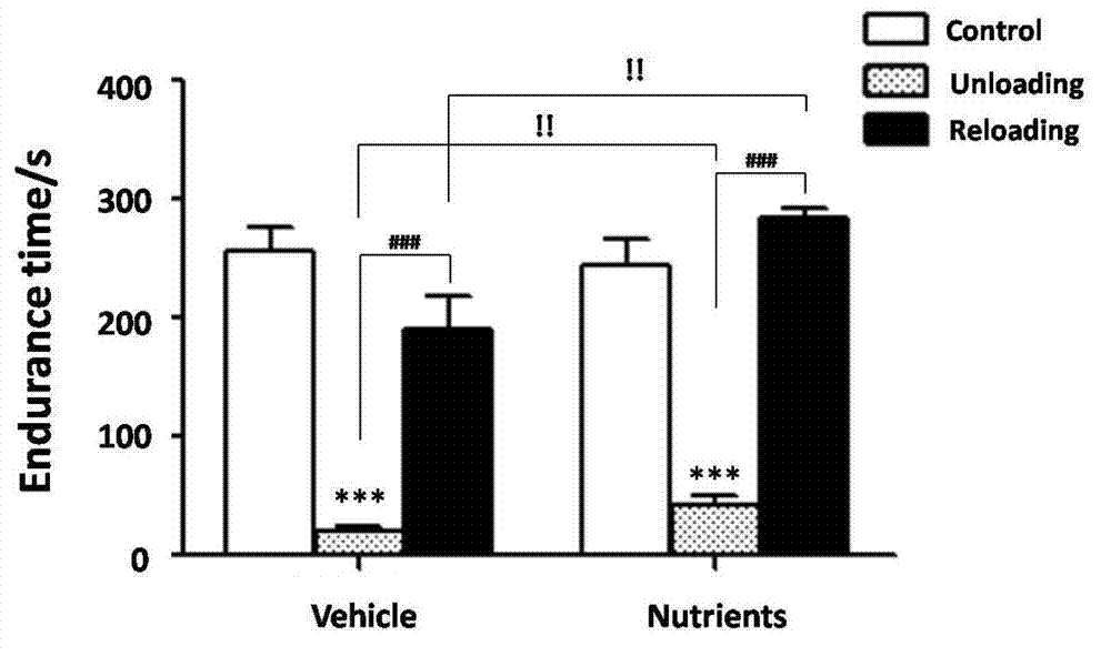 Application of alpha-lipoic acid, acetyl-L-carnitine, coenzyme Q10 and hydroxytyrosol composition for preventing and treating amyotrophy