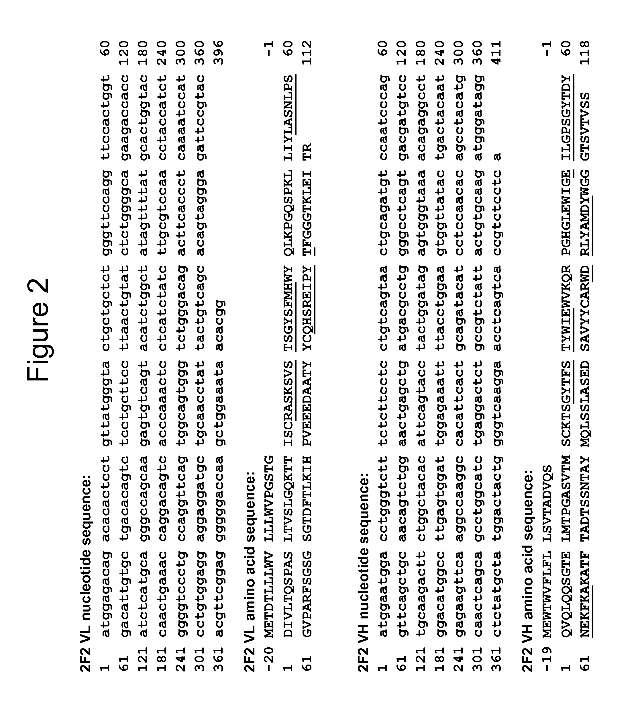 Anti-CD70 antibody and its use for the treatment of cancer and immune disorders