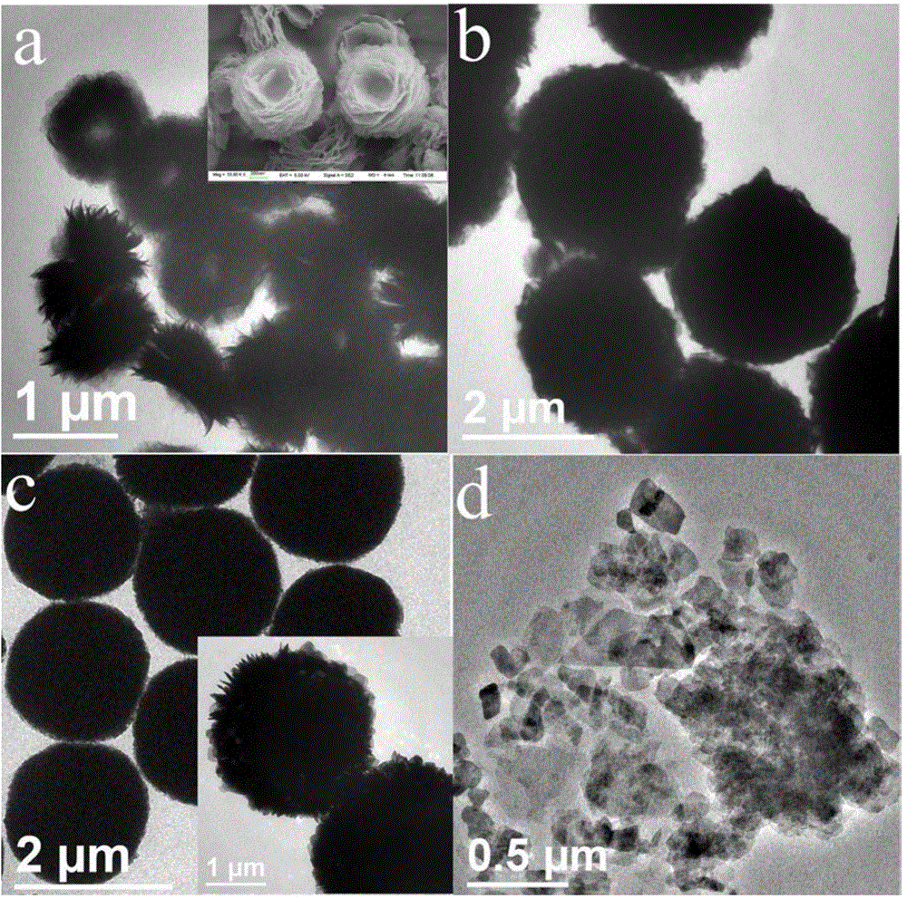 Bi2O2CO3 nanocrystal with unique morphology, and preparation method thereof