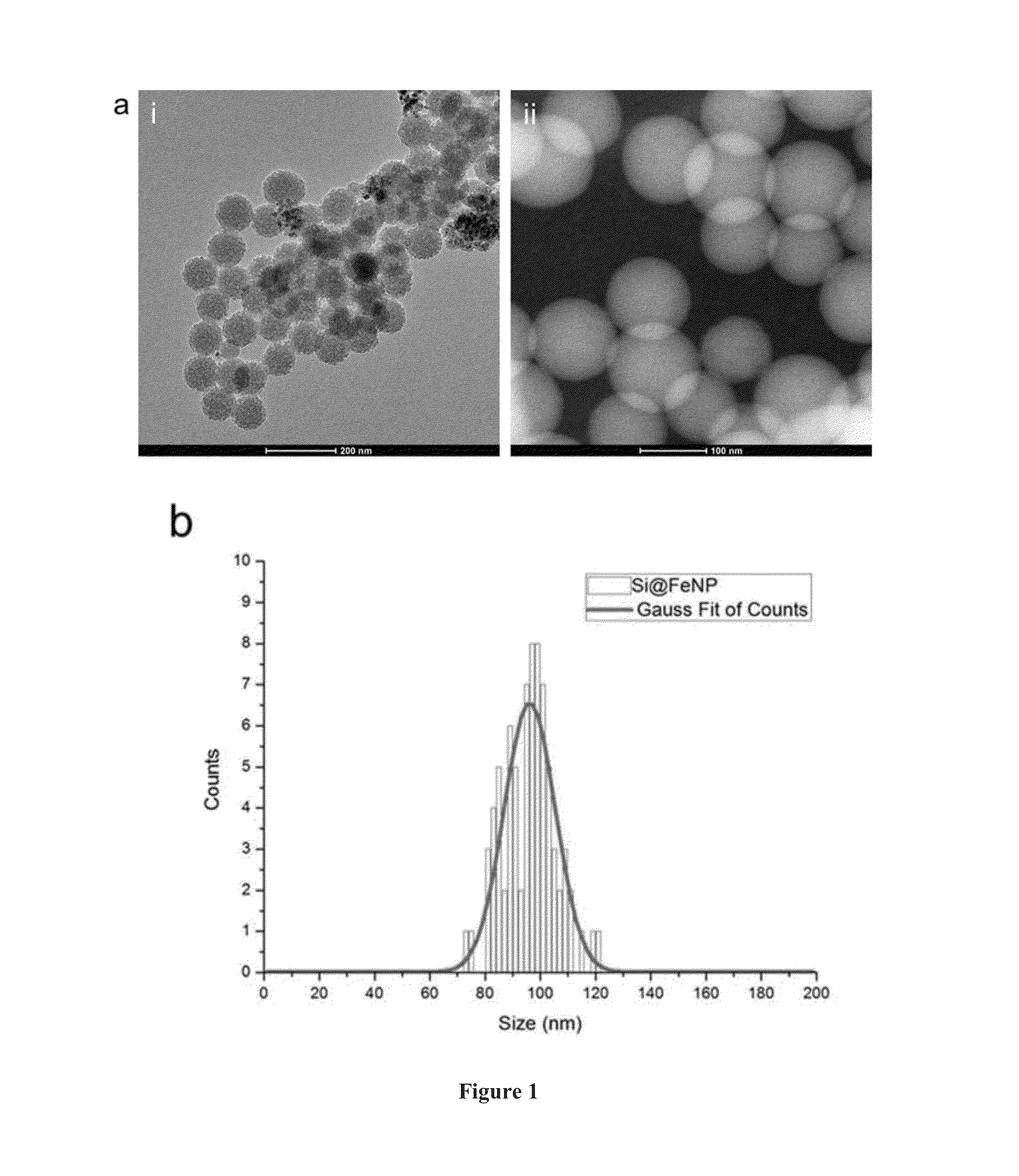 Method of extracting neural stem cells using nanoparticles