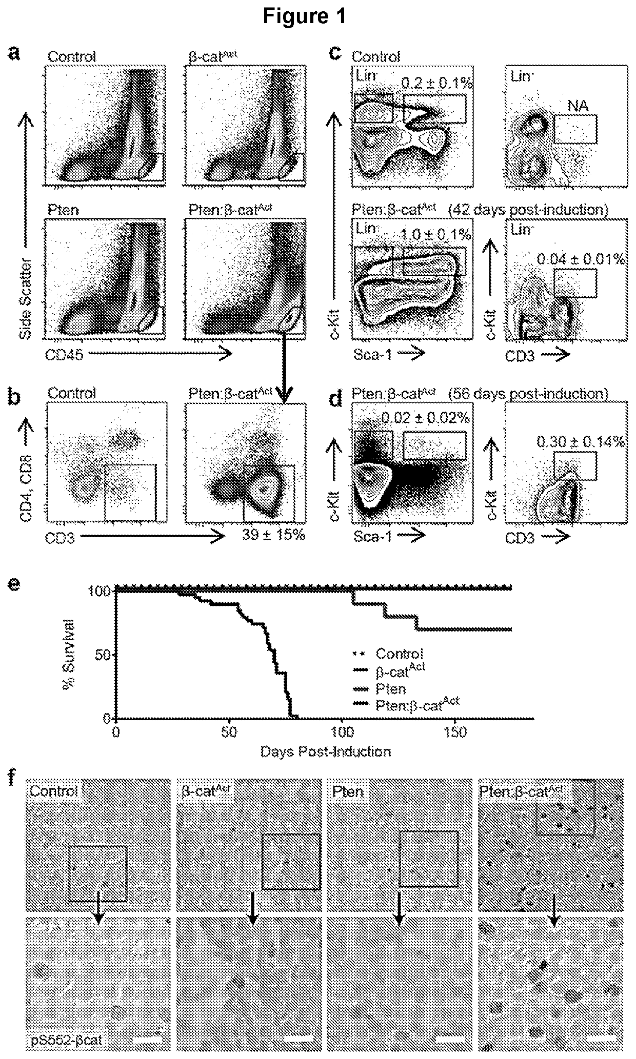 Methods for treating chemoresistant cancer-initiating cells