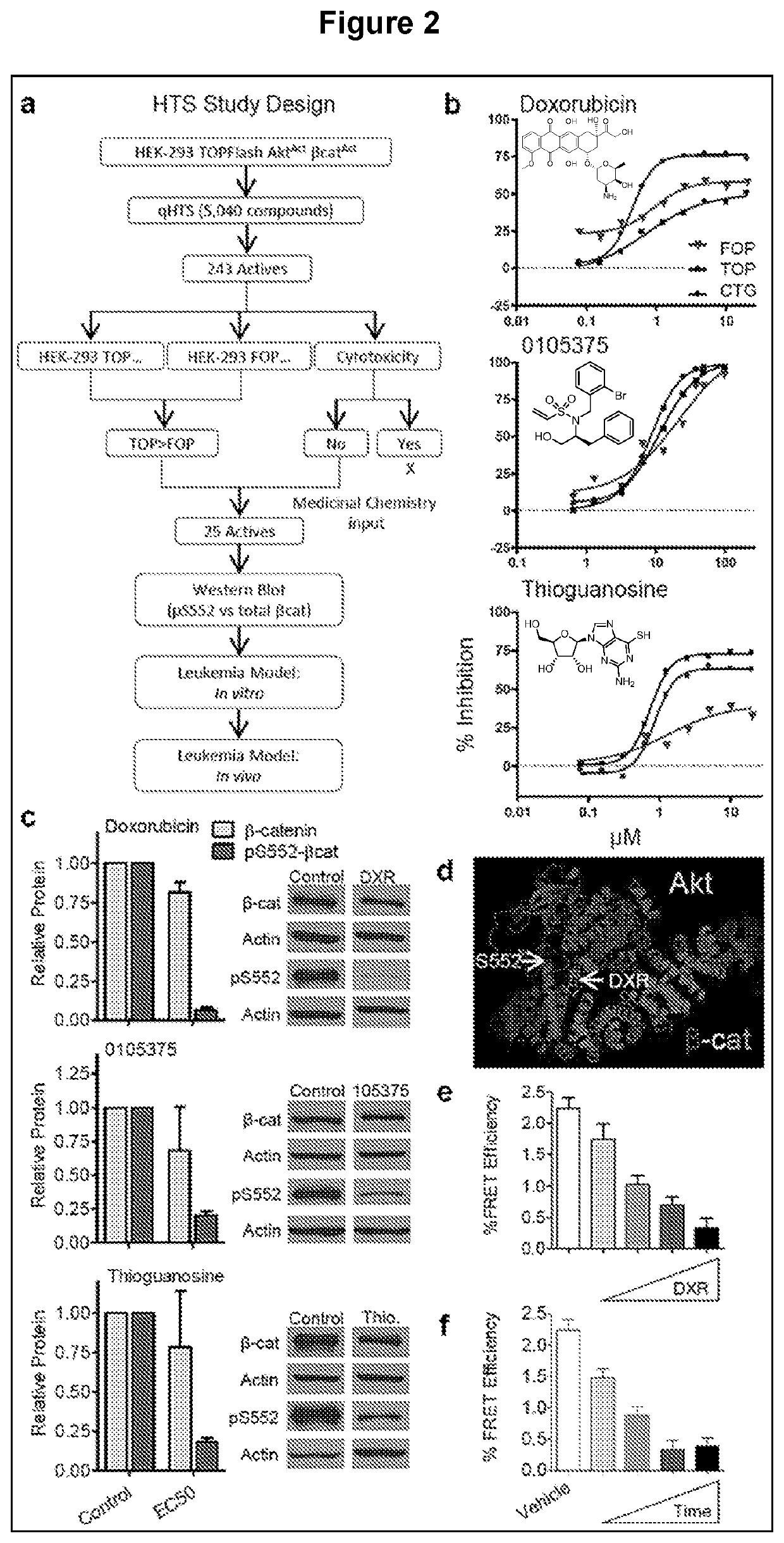 Methods for treating chemoresistant cancer-initiating cells