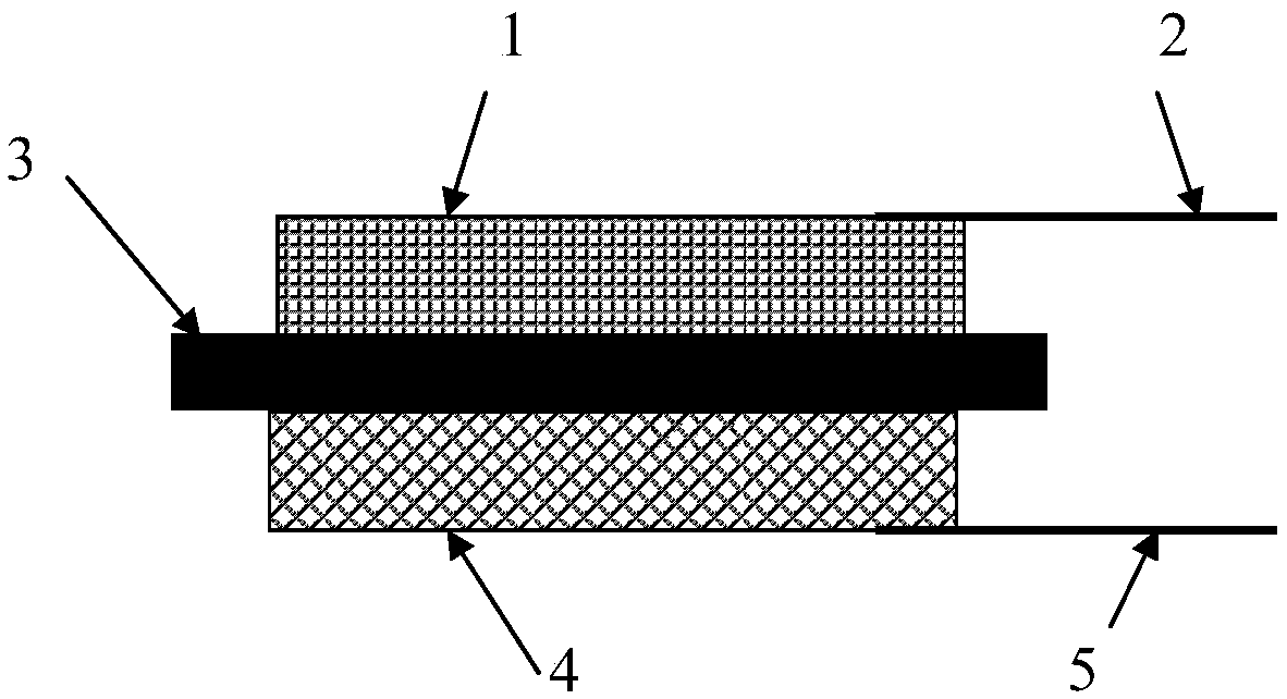 Portable membrane electrode assembly directly generating ozone in water and preparation method of portable membrane electrode assembly