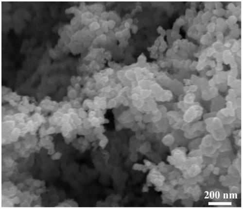 Method for in-situ preparation of NbC and/or TaC powder by molten salt disproportionation reaction