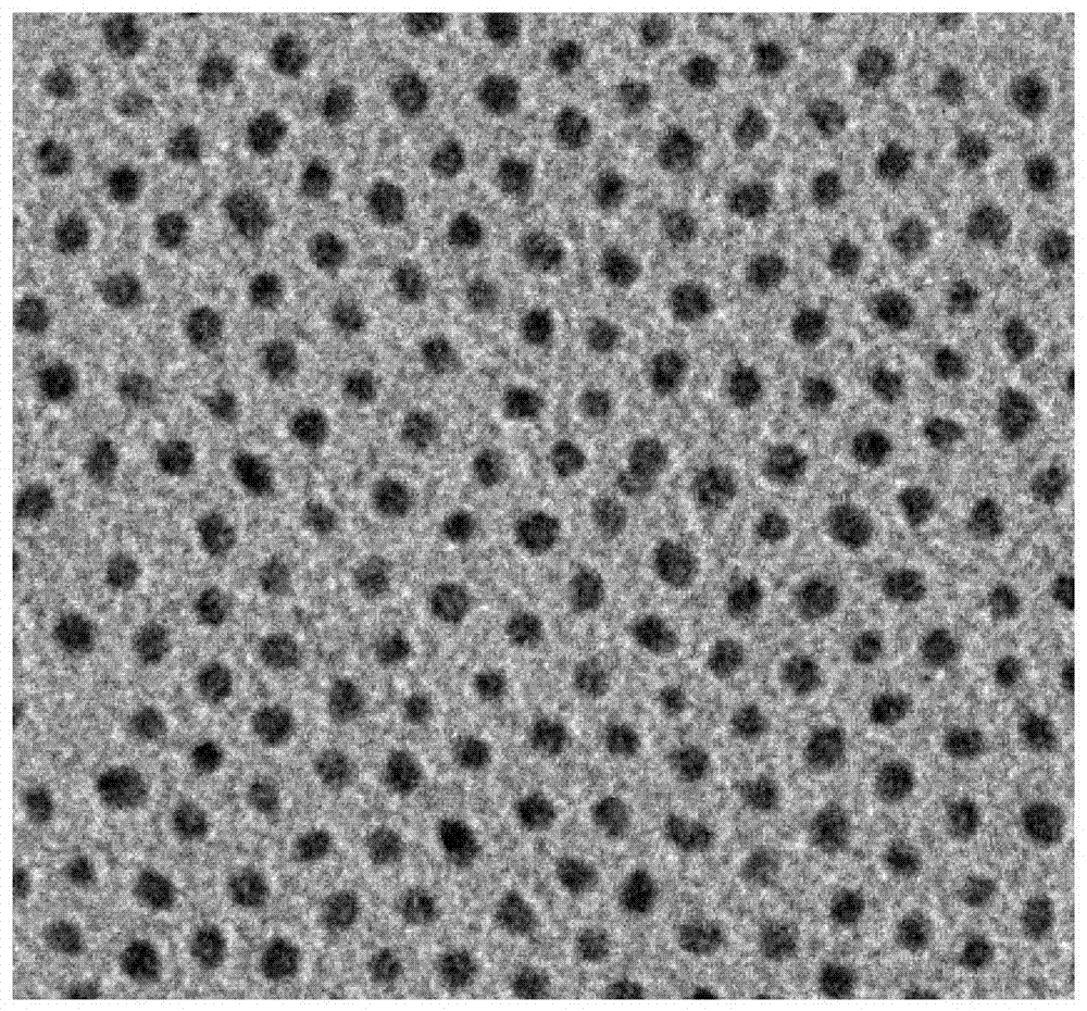 A method for the construction of nanoheterostructures based on platinized iron nanoparticles