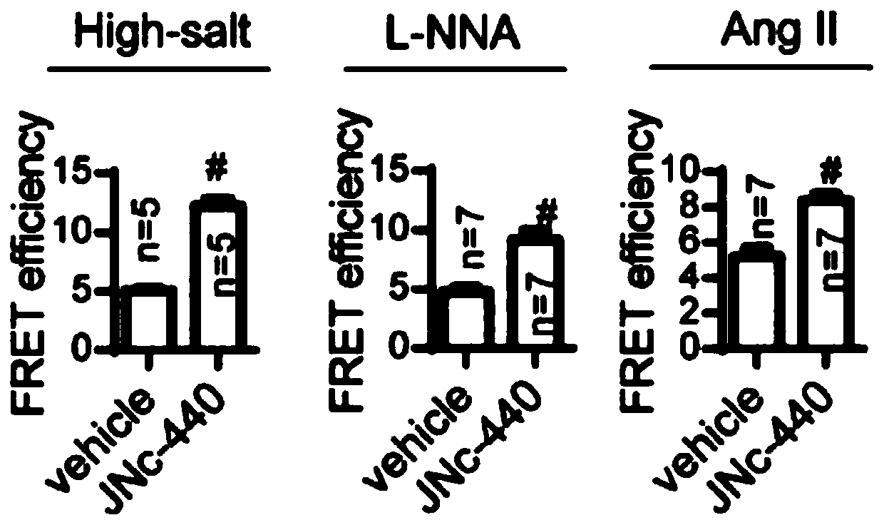 A compound that enhances the coupling degree of trpv4-kca2.3 complex and its application in antihypertensive