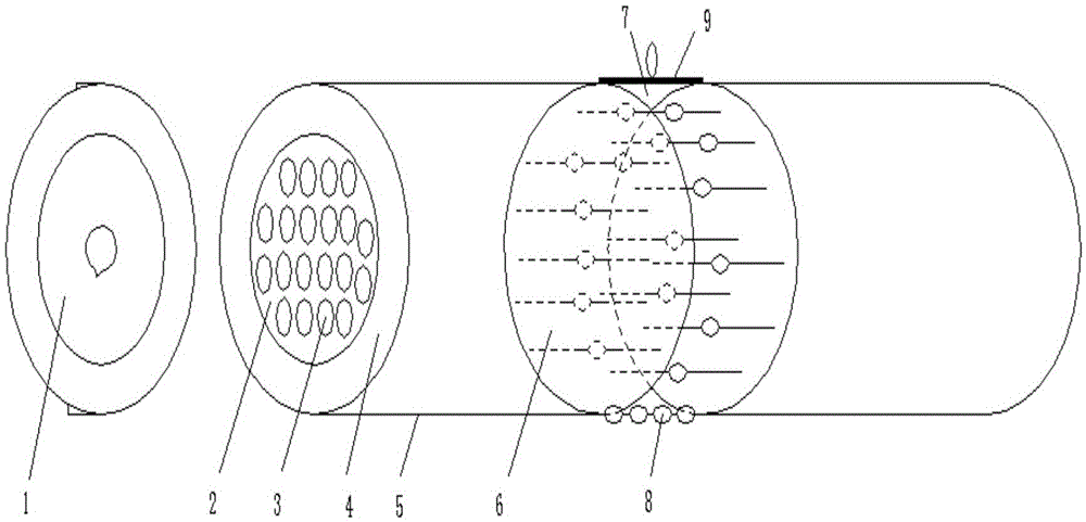 Safe beneficial-insect sheltering system and application thereof