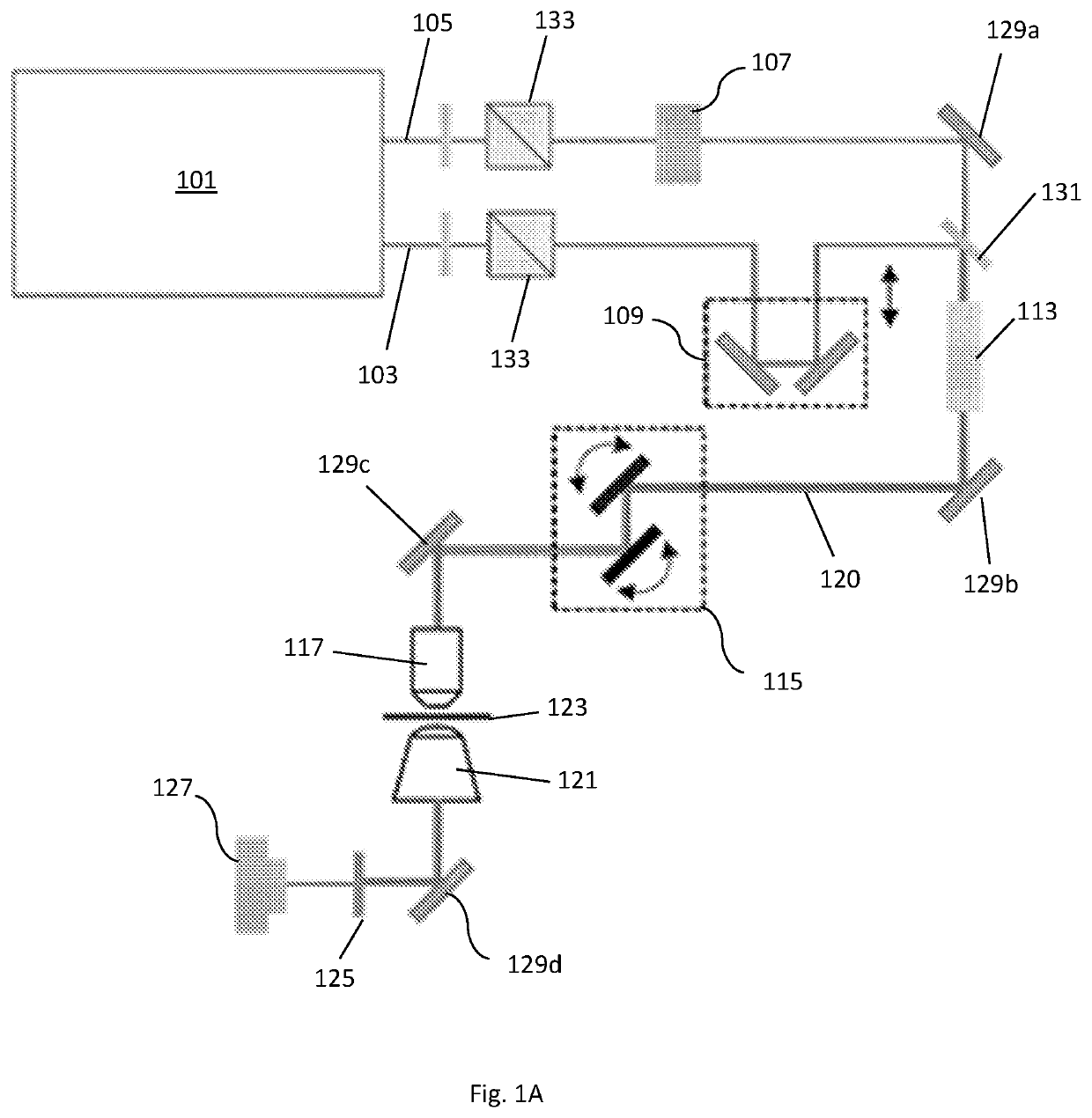 Method for the determination of antibiotic susceptibility through stimulated Raman metabolic imaging