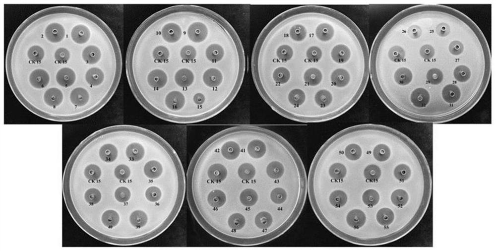 Wuyiencin high-yield strain, fermentation method and application