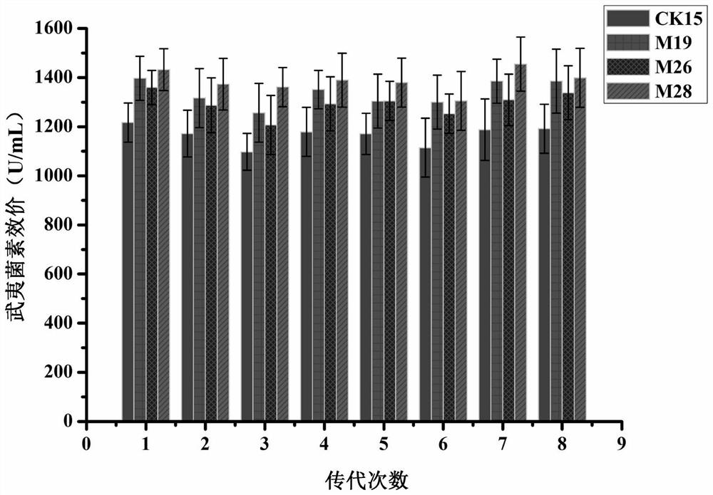 Wuyiencin high-yield strain, fermentation method and application