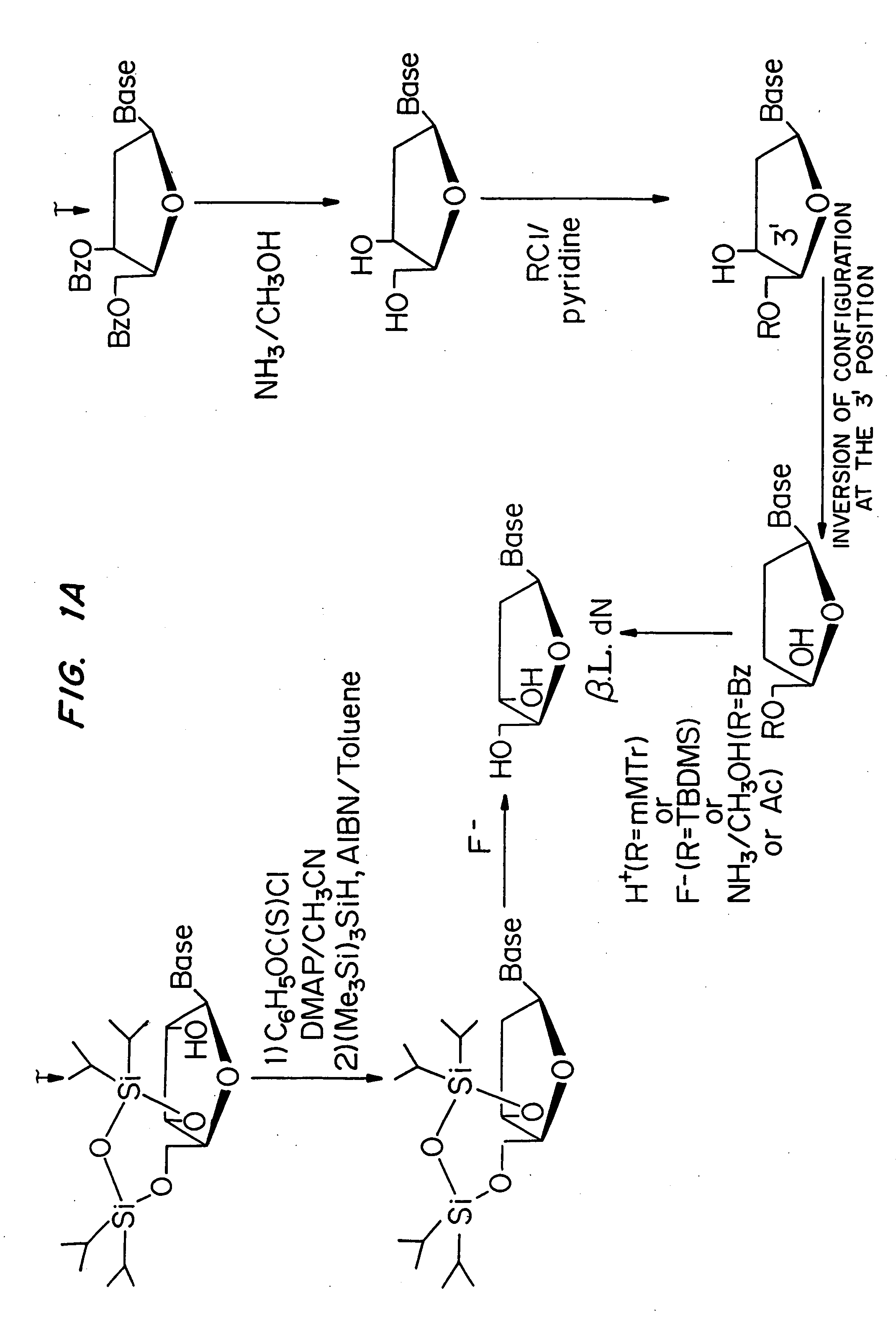 Beta-L-2'-deoxy-nucleosides for the treatment of hepatitis B