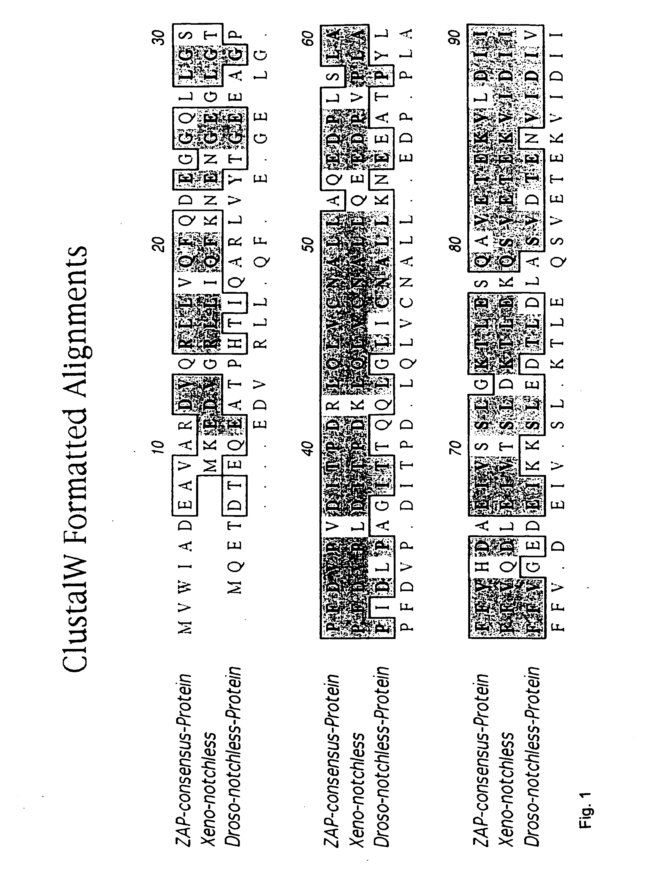 Novel genes TZap7/A, TZap7/B and TZap7 involved in T cell activation and uses thereof