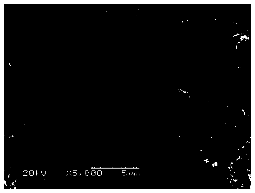 Blended polymer coated high-nickel ternary positive electrode material and preparation method thereof