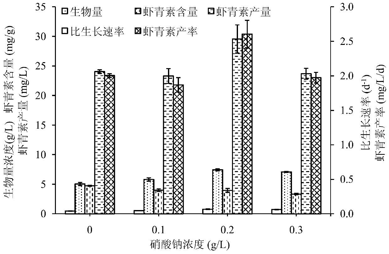 A method for inducing Chlorophyll algae to efficiently synthesize astaxanthin