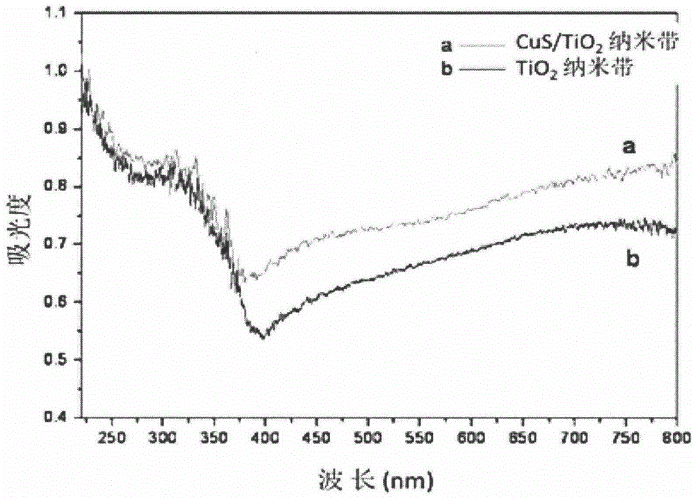Preparation method and use method of CuS modified immobilized TiO2 nanoribbon photocatalyst