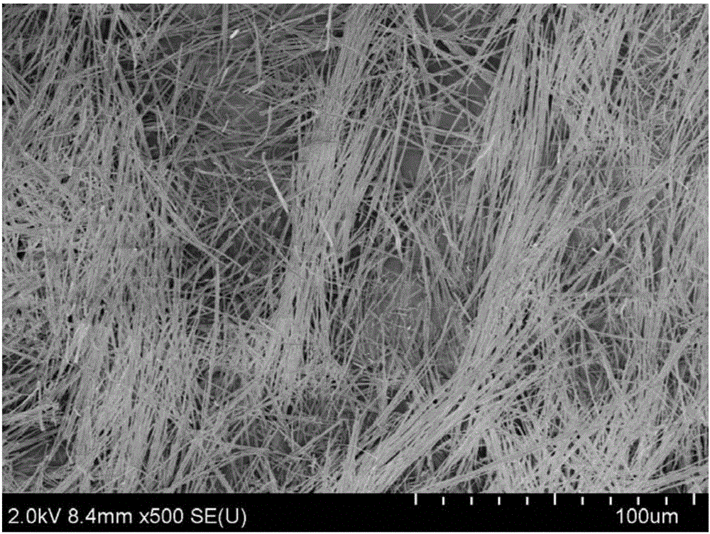 Preparation method of basic magnesium sulfate whiskers