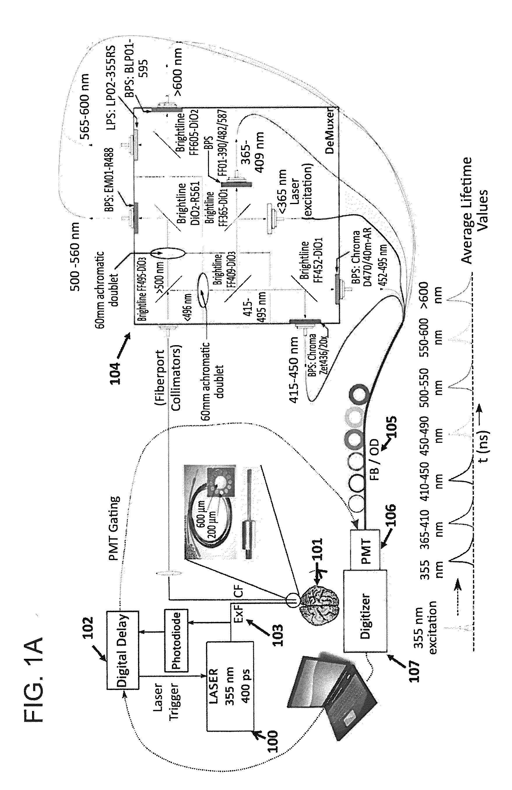 Time-resolved laser-induced fluorescence spectroscopy systems and uses thereof