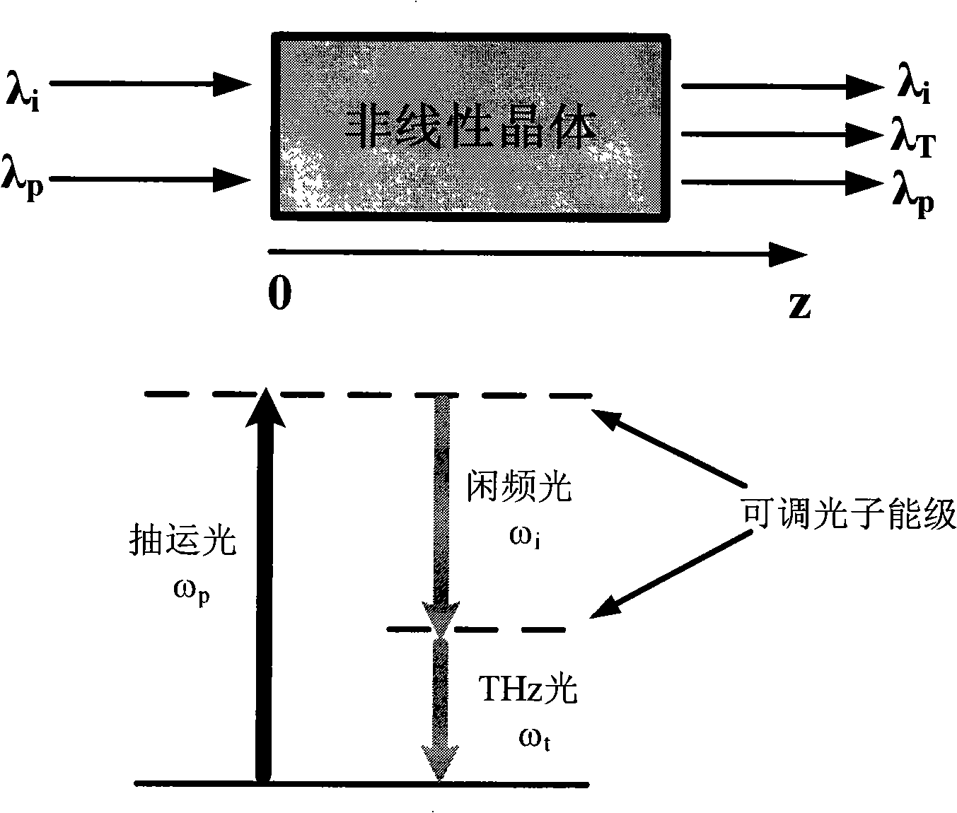 Apparatus for generating tunable narrow band terahertz band wave by optical difference frequency