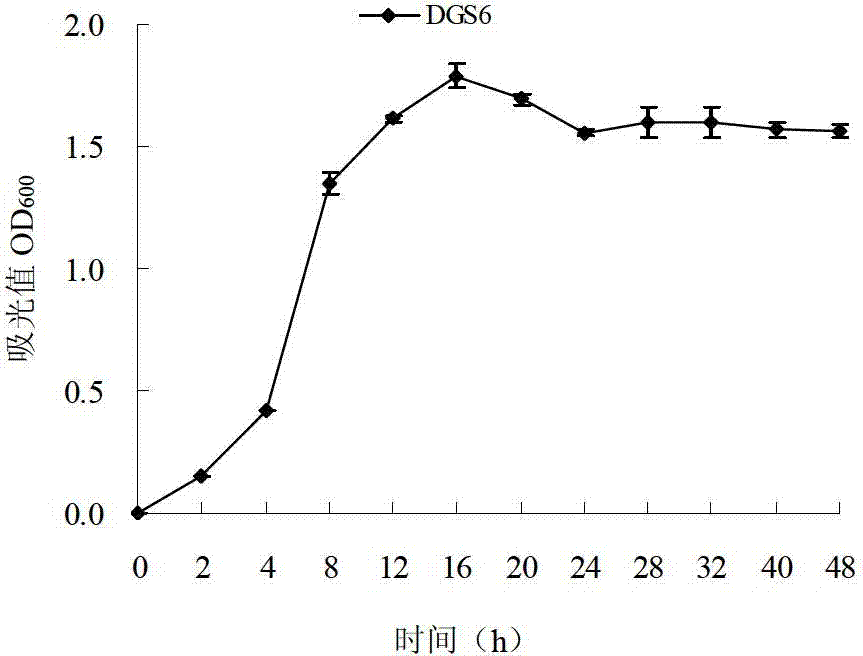 Strain of copper-resistant bacteria and application thereof