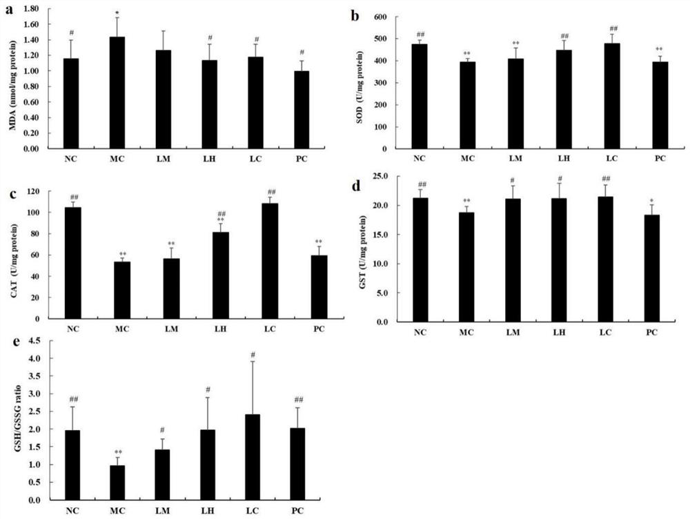 Application of Liquidamia hordgsonii Hook. polysaccharide in preparation of drugs for treating and/or preventing liver diseases