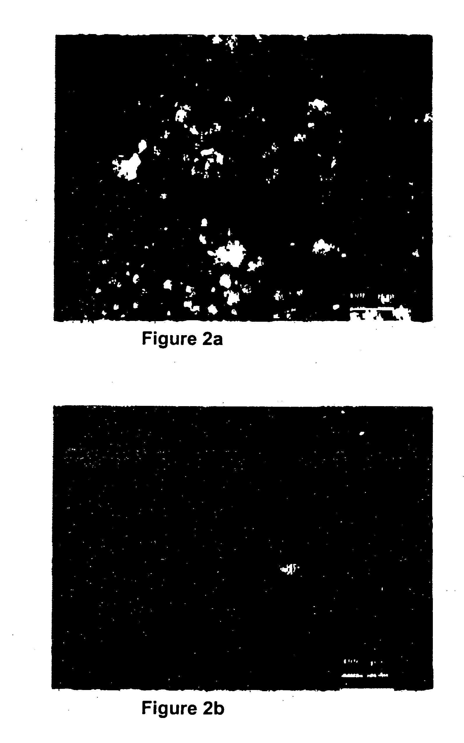 Creamy foodstuff and method for production thereof