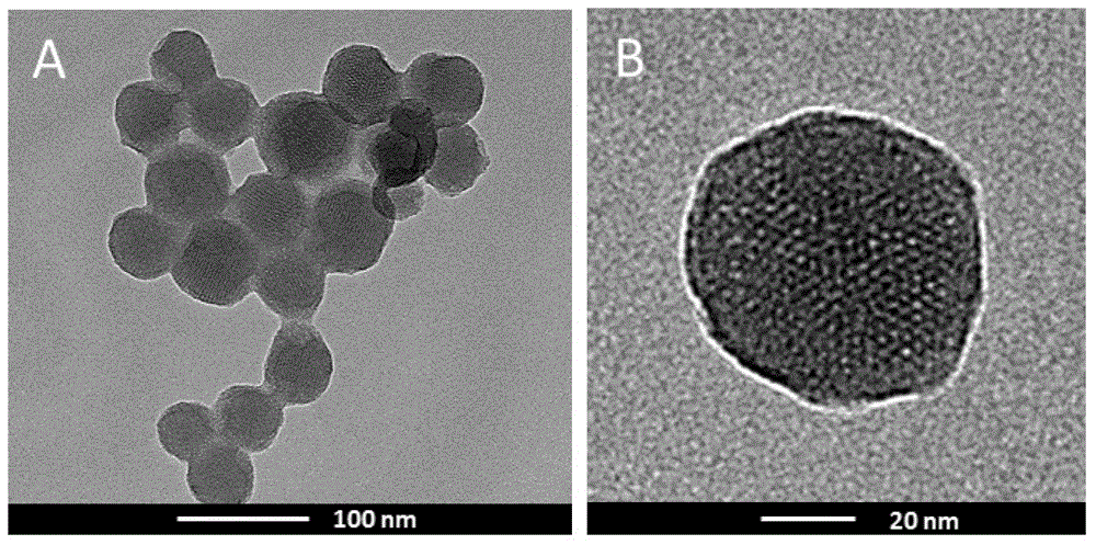 Synthesis method and application of molecularly imprinted mesoporous material