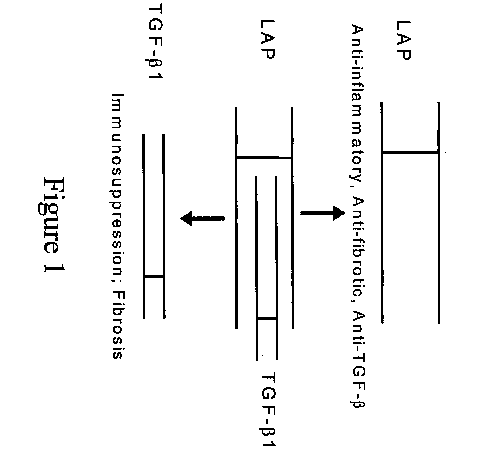 Methods and reagents for treating inflammation and fibrosis