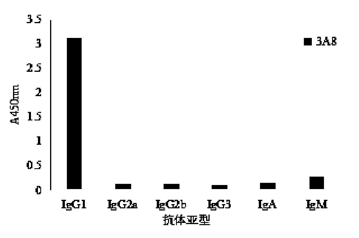 Monoclonal antibody resisting skeletal muscle troponin I and application of monoclonal antibody