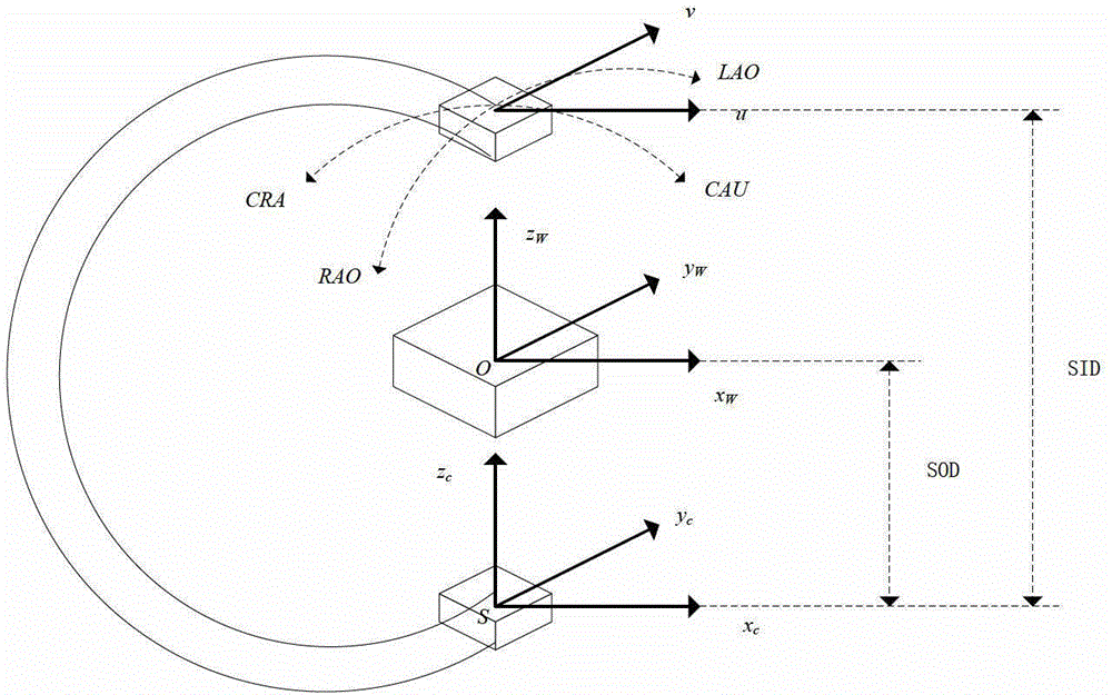 Method for optimizing optimal viewing angle of multiple branch interesting blood vessel section