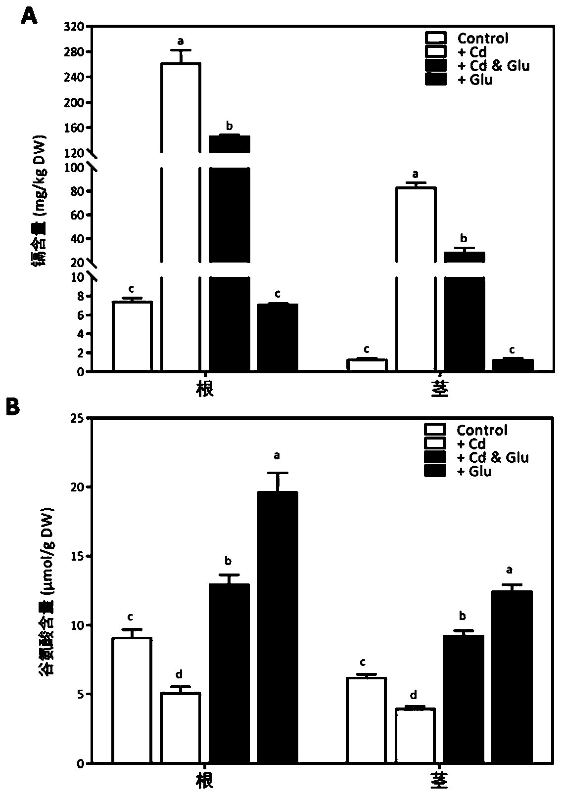 Application of exogenous glutamic acid in alleviating cadmium stress of rice and reducing cadmium content of rice plants