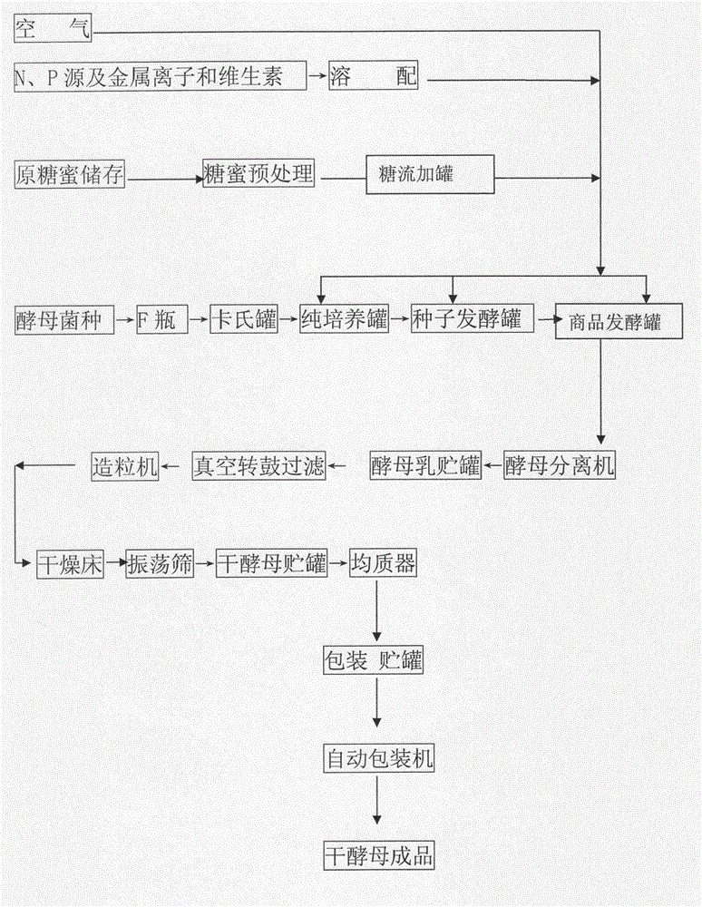 Production method for compound yellow rice wine saccharomycopsis