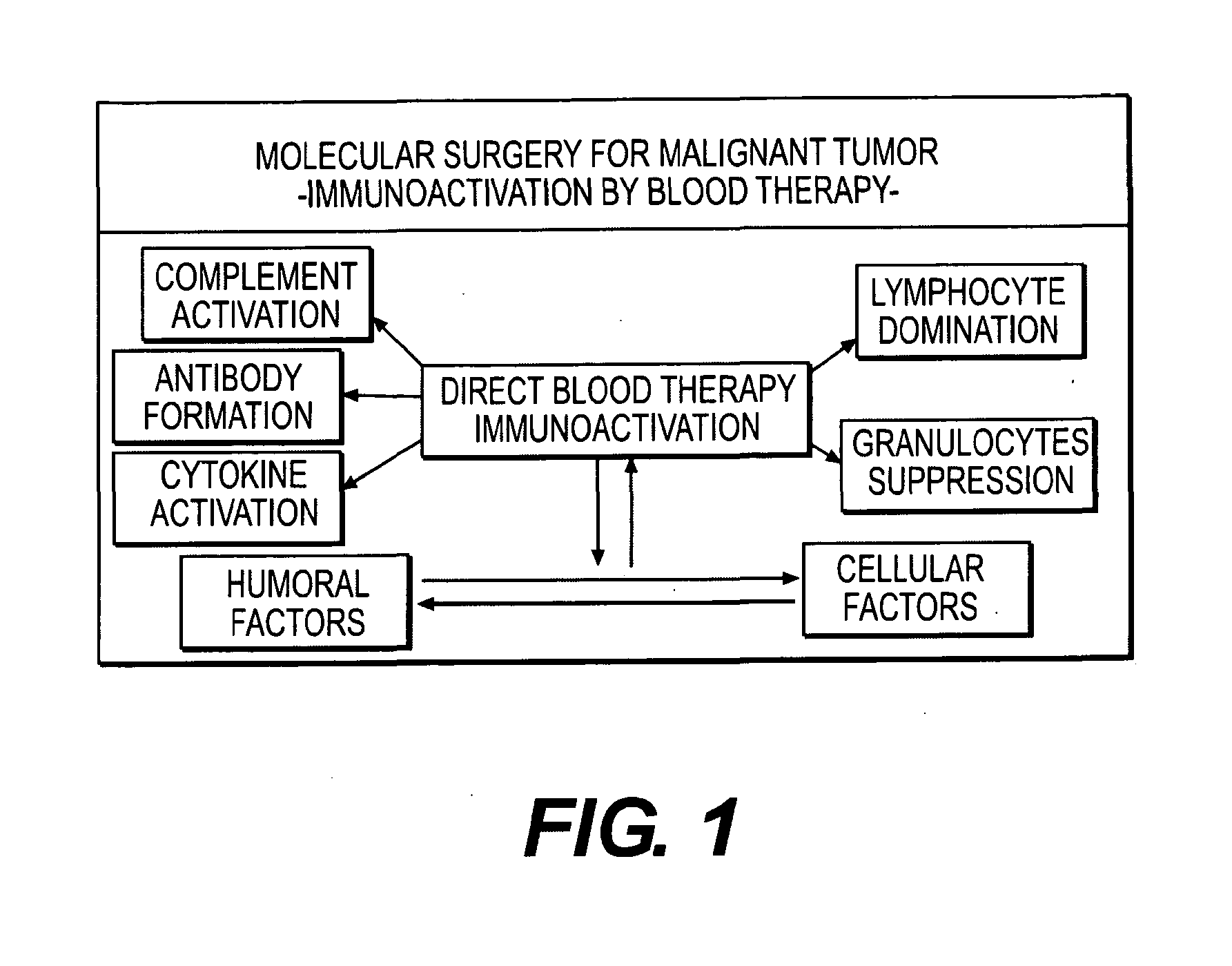 Immunoactivation blood perfusion filter for the treatment of malignant tumors